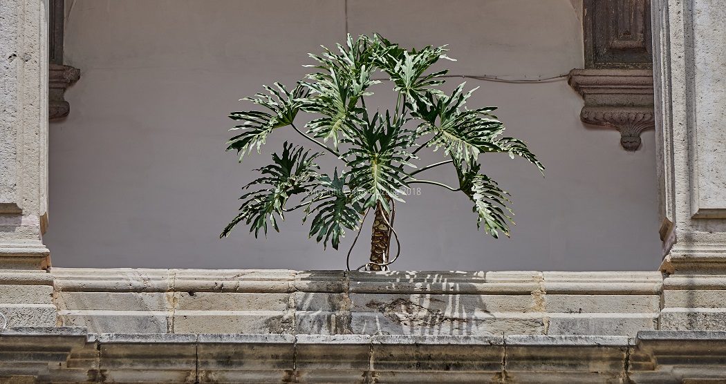 Acambaro (15).jpg